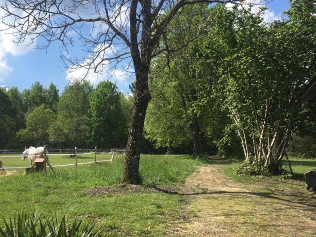 Gites Le Clos De Lamie Avec 2 Piscines Privees Fossemagne Exterior foto